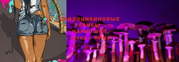 гидра Козловка