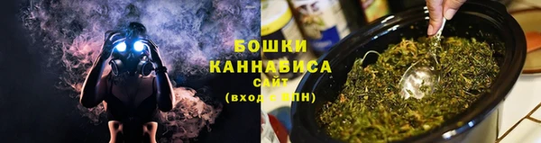 гидра Козловка