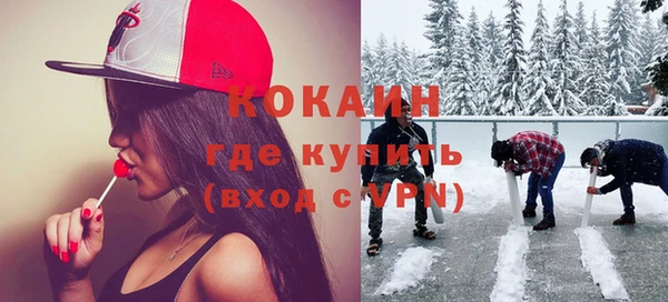 гидра Козловка