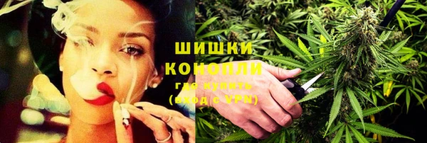 гидра Козловка