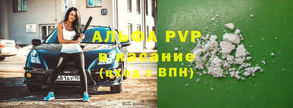 гидра Козловка
